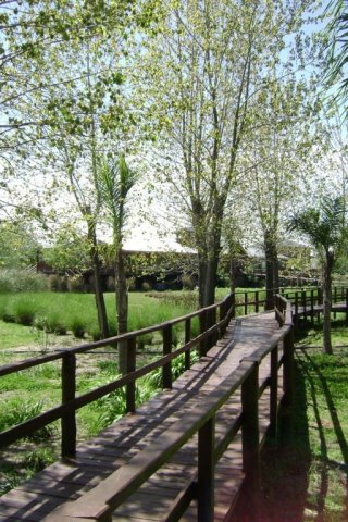 Jornada Corporativa y team building en el Delta - Tigre