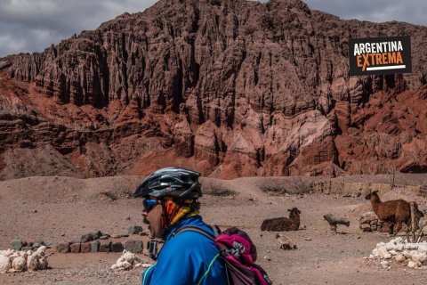 llamas y bicicletas