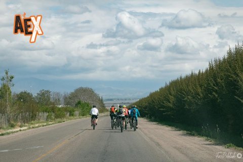 Mountainbike Valle de Uco - Ruta del Vino - Mendoza