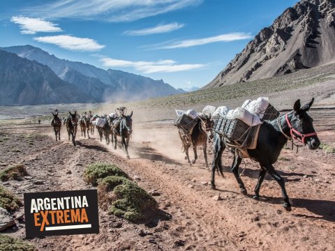 Ascenso al Cerro Mercedario - Las 10 más altas de América - San Juan