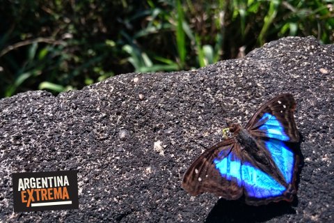 multiaventura en saltos del mocona con pernocte en lodge 4866