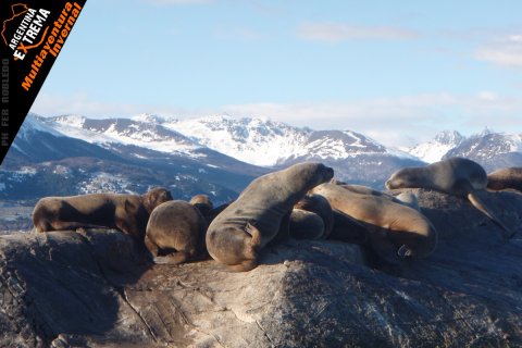 multiaventura invernal en ushuaia375