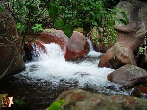 Parque Nacional Baritú - Trekking, excursión y exploración - Salta - Yungas - NOA