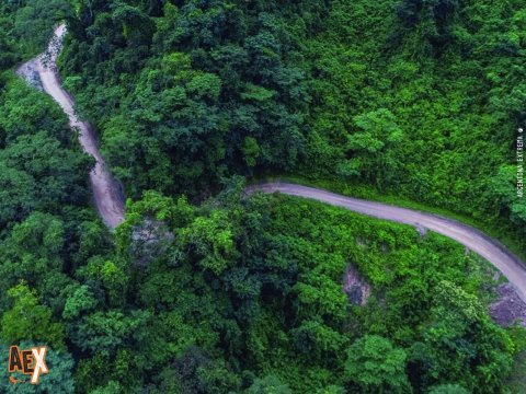 Parque Nacional Baritú - Trekking, excursión y exploración - Salta - Yungas - NOA