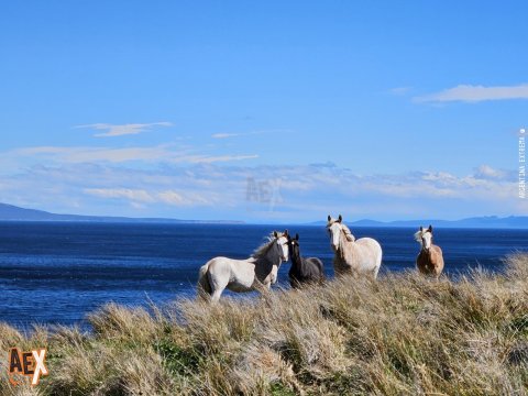 Trekking en Península Mitre - El último confín de la Tierra - Bahia Aguirre - Tierra del Fuego