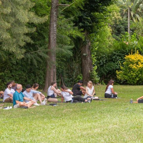 Reset Natural - Jornada de Liderazgo Consciente  y Bienestar - Delta de Tigre