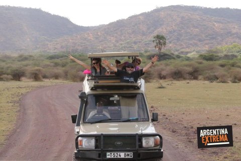 safari serenguetti ngorongoro manyara 001