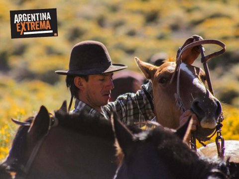 semana santa cabalgata de los valles sur de mza355