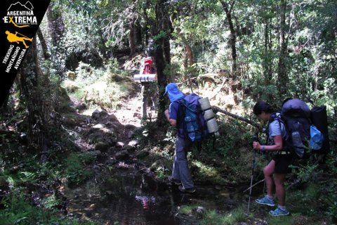 bosque - trekking