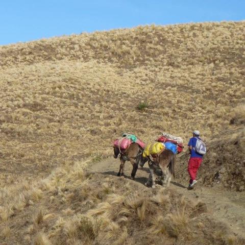 Trekking de Calilegua a Tilcara, Jujuy (de las yungas a Q.Humahuaca) 
