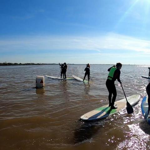 Stand Up Paddle - Curso - Taller - Sup - Rio de la Plata - Buenos Aires