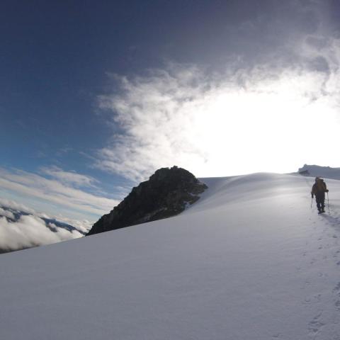Nevado del Tolima - Valle de Cócora - Colombia - 5220 msnm - Expedición - Trekking y ascensión