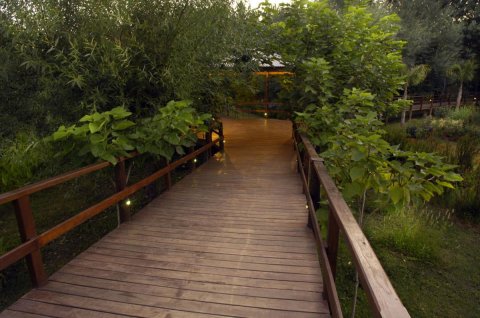 Jornada Corporativa y team building en el Delta - Tigre