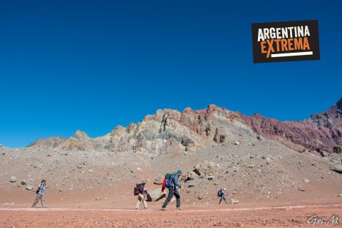Trekking Cerro Aconcagua - Plaza Francia y Plaza de Mulas (4350 msnm) - Coloso de América 
