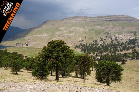 trekking al limite de los andes 003