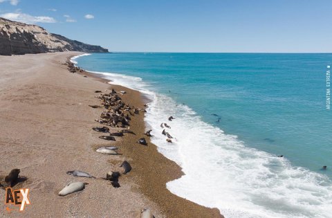 Trekking de las Ballenas - Bahia Cracker a Punta Ninfas - Trekking - Puerto Madryn - Chubut