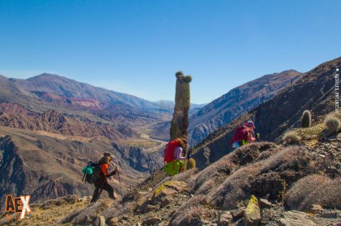 Trekking de las Nubes - de la Quebrada del Toro a la Quebrada de San Lorenzo - Salta