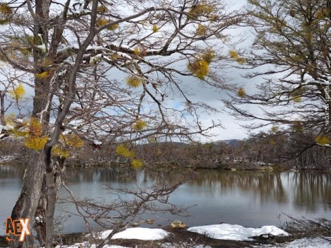 Trekking de los refugios de El Bolsón - Paralelo 42 - Hielo Azul, Cajón del Azul - Patagonia