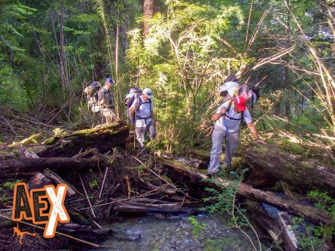 Trekking Lago Verde a Puerto Arturo - Lago Lolog - Parque Nacional Lanin