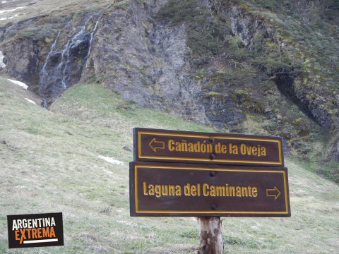 cartel indicador