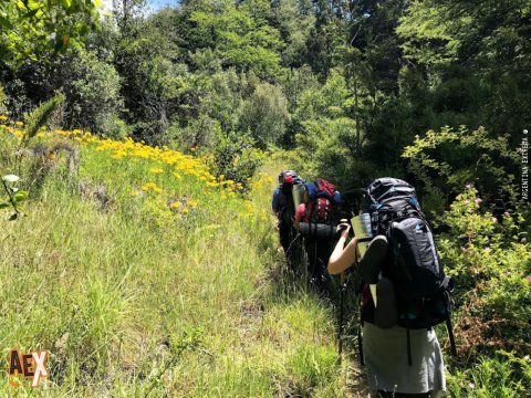 Trekking Pampa Linda - Laguna Illon - Mirada del Doctor - Paso de las Nubes - Lago Frias - Bariloche