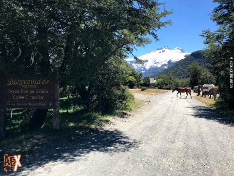 Trekking Laguna ILon - Mirada del Doctor - Pampa Linda - Tronador - Parque Nacional Nahuel Huapi 