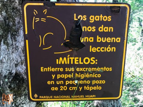 Trekking Pampa Linda - Laguna Illon - Mirada del Doctor - Paso de las Nubes - Lago Frias - Bariloche