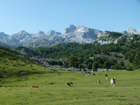 trekking picos europa argentinaextrema 013
