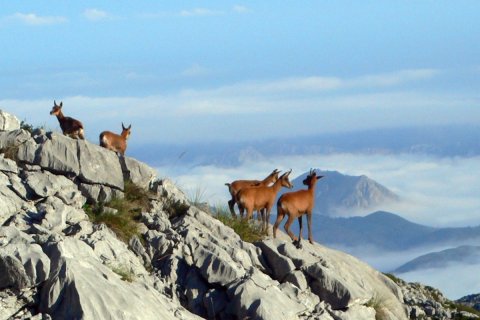 trekking picos europa argentinaextrema 017