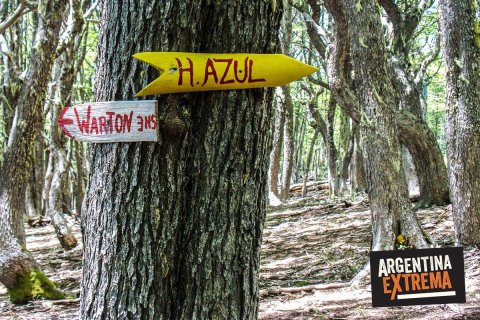 carteles en el camino