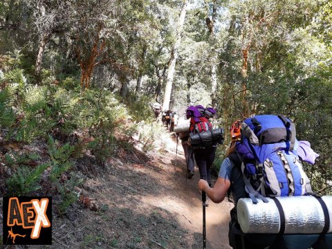 Sendero en Queñi