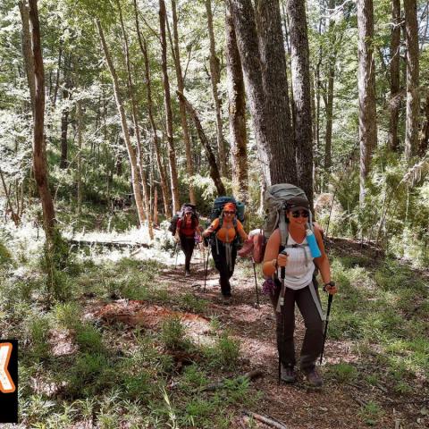 Trekking Hua Hum - Chachin - Termas de Queñi - Cerro Acol - San Martin de los Andes - PN Lanin