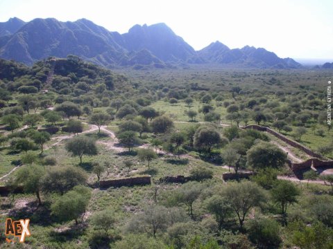 Trekking Valles de Catamarca - de Belén a Londres - El Shincal de Quimivil - Ruta Inca