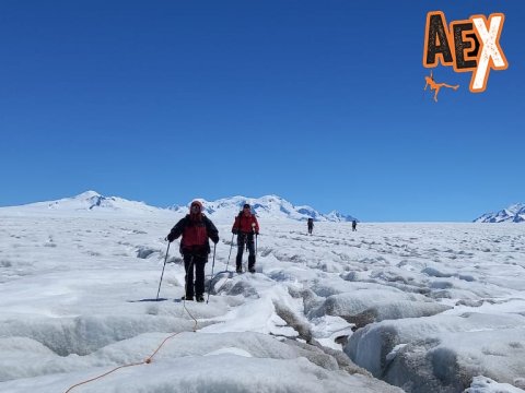 en el Campo de Hielo