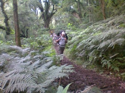 trekking yungas a valles calchaquies salta 01