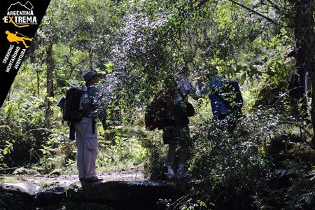trekking yungas a valles calchaquies salta 07