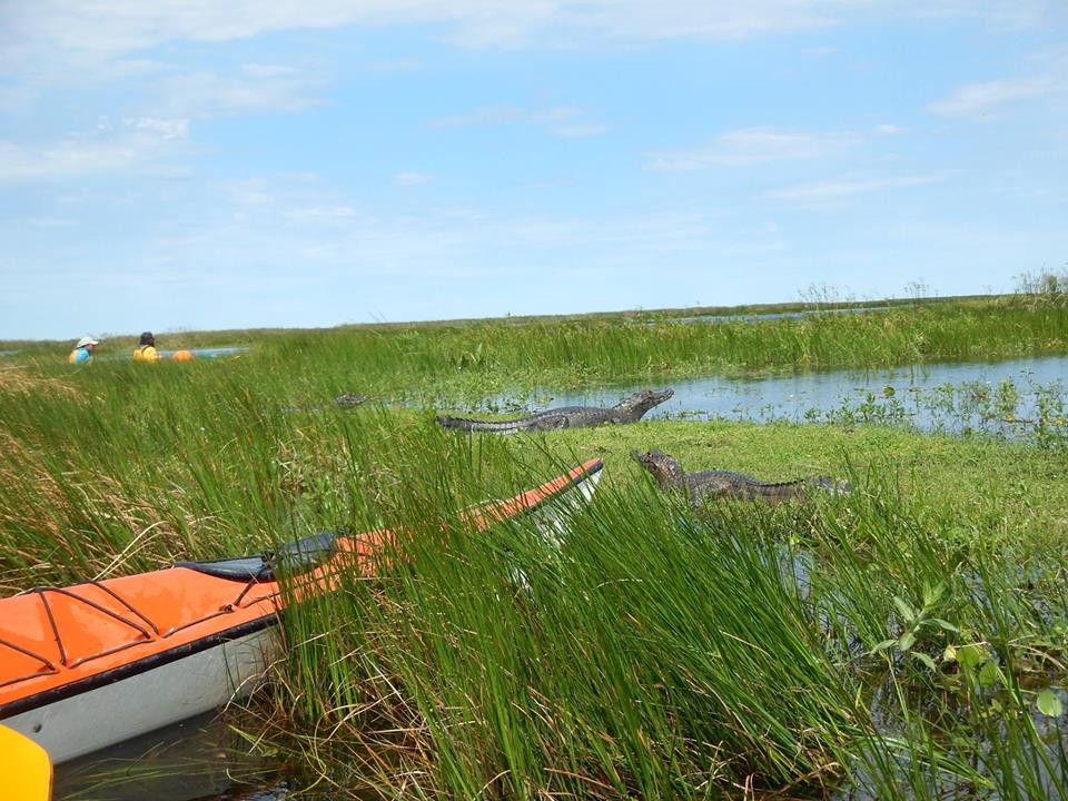 kayaking de travesia por los esteros del ibera570