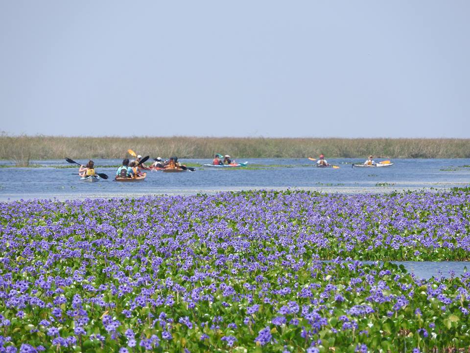 kayaking de travesia por los esteros del ibera580