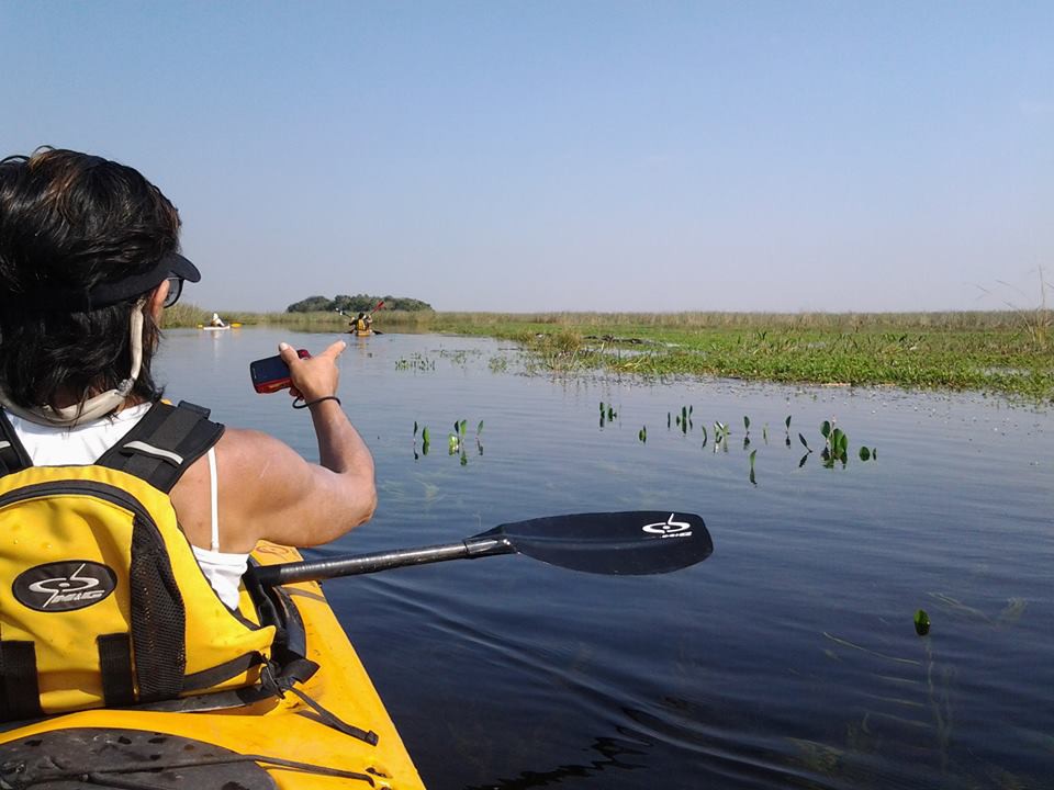 Parque Nacional Iberá: flora y fauna en estado puro