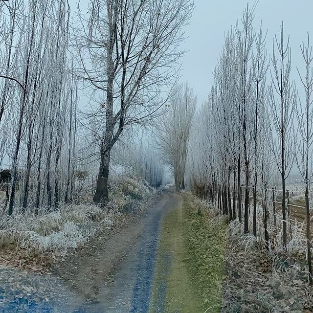 Mountainbike Valle de Uco - Ruta del Vino - Mendoza