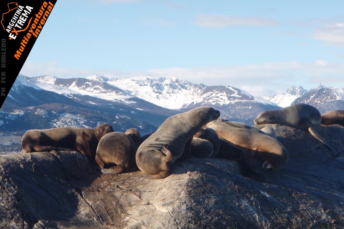 multiaventura invernal en ushuaia375