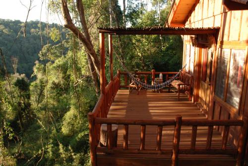 selva misiones 01.JPG