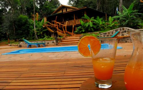 selva misiones 02.JPG