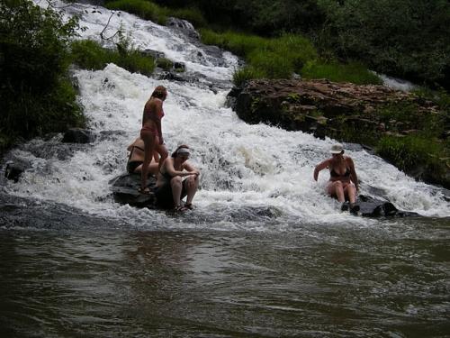 selva misiones 03.JPG