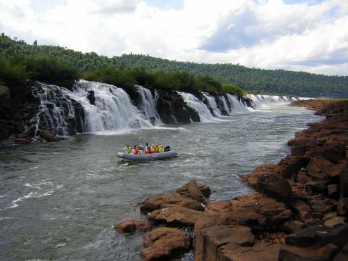 selva misiones 04.JPG