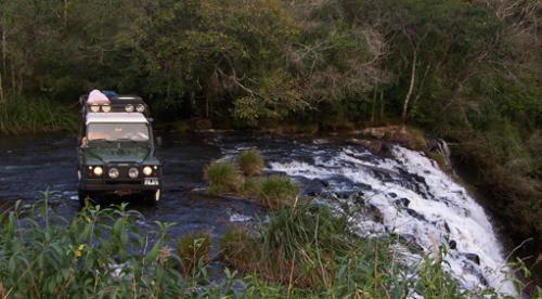 selva misiones 05.JPG