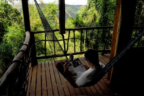 selva misiones 06.JPG