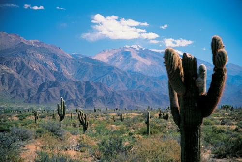 semana santa multiaventura en salta700