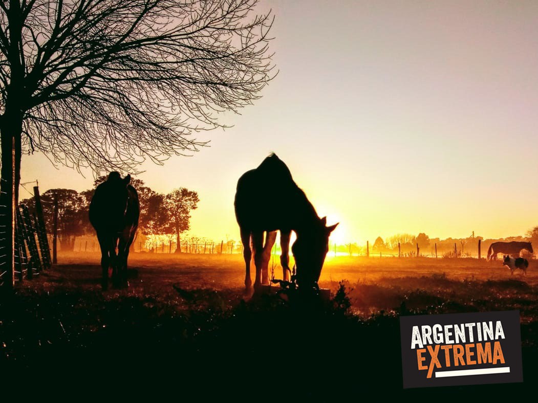 Iniciación a las Travesías a Caballo - Taller de Equitación - Estancia en Buenos Aires