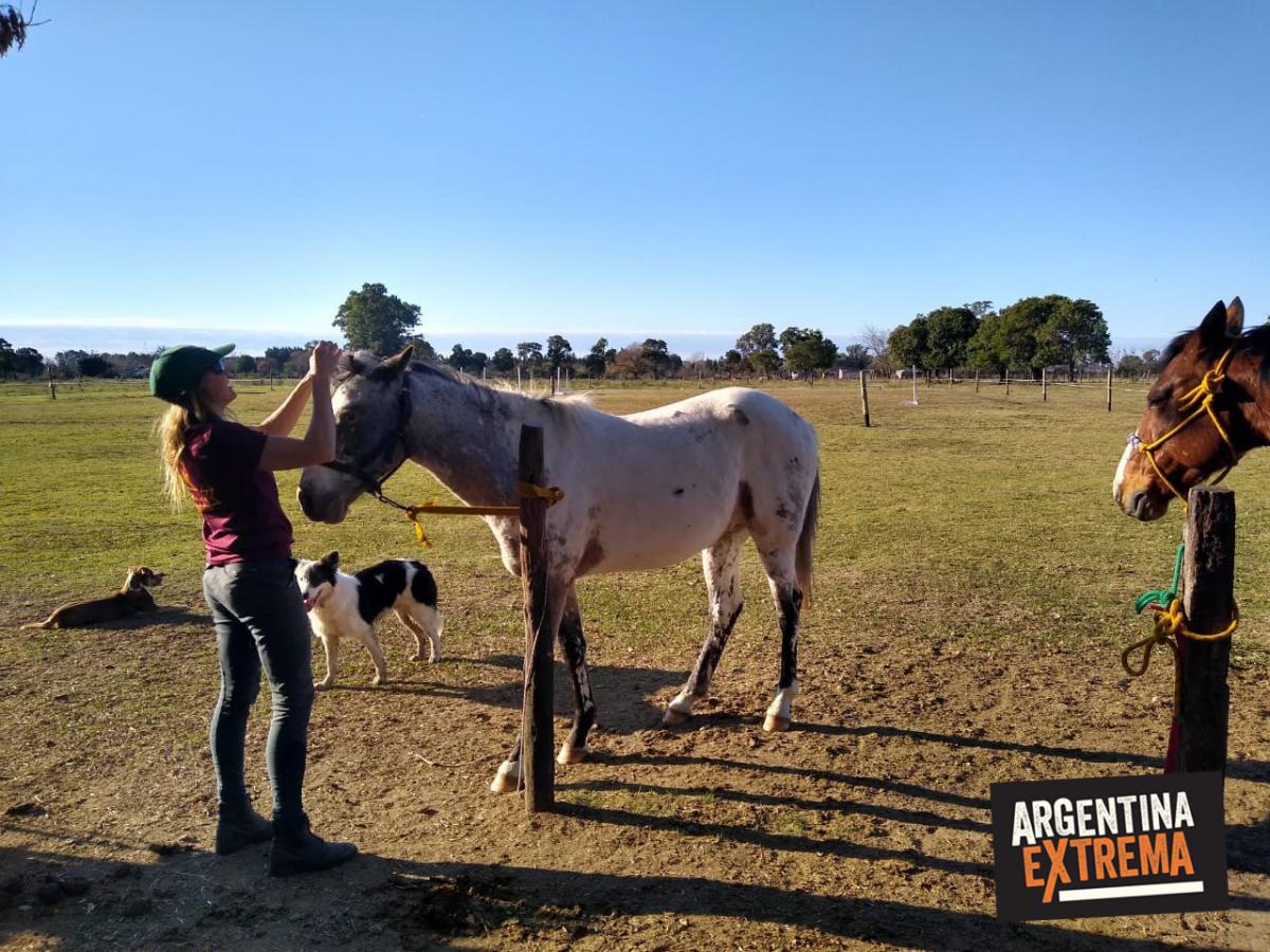 Iniciación a las Travesías a Caballo - Taller de Equitación - Estancia en Buenos Aires
